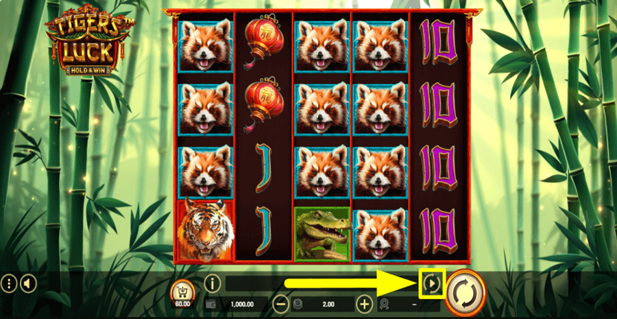 Tigers Luck Hold And Win Autoplay Feature