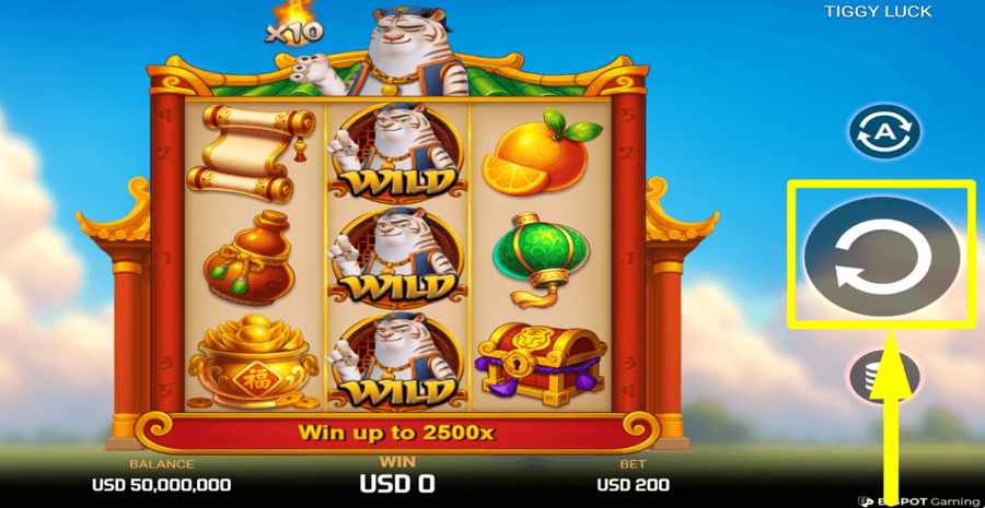 Tiggy Luck Spin Button