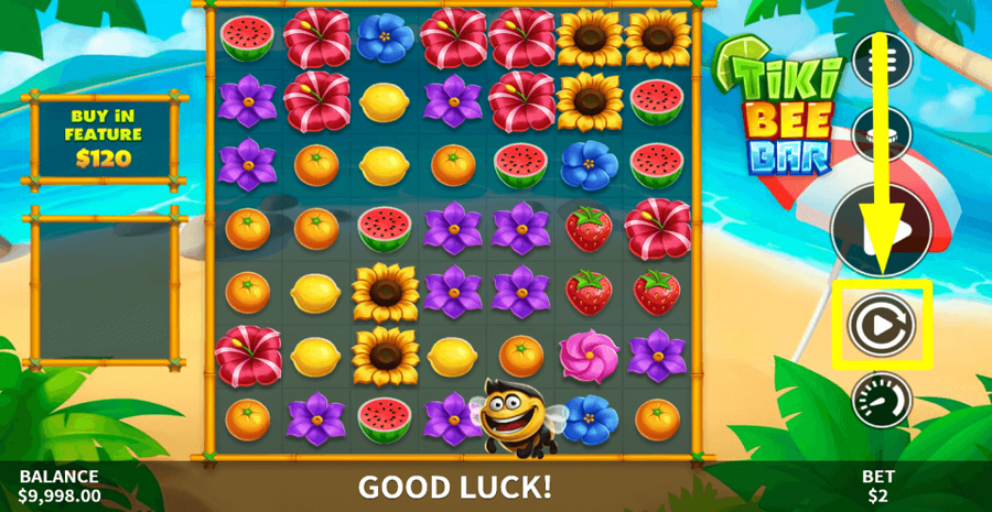 Tiki Bee Bar Autoplay Feature