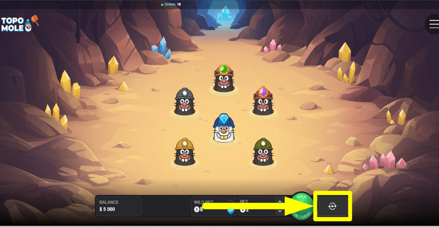 Topo Mole Autoplay Feature