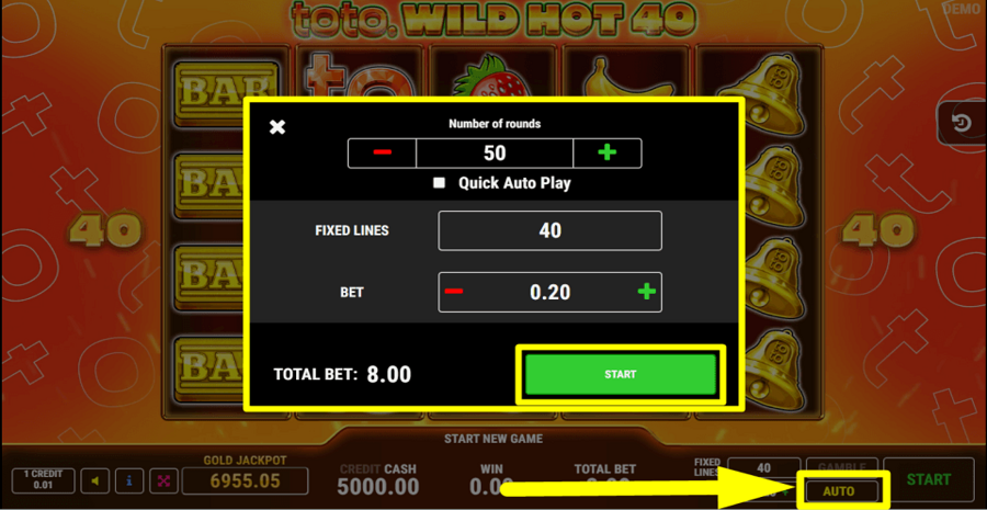 Toto Wild Hot 40 Autoplay Feature