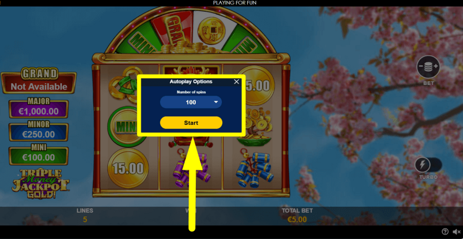 Triple Money Jackpot Gold Autoplay Feature