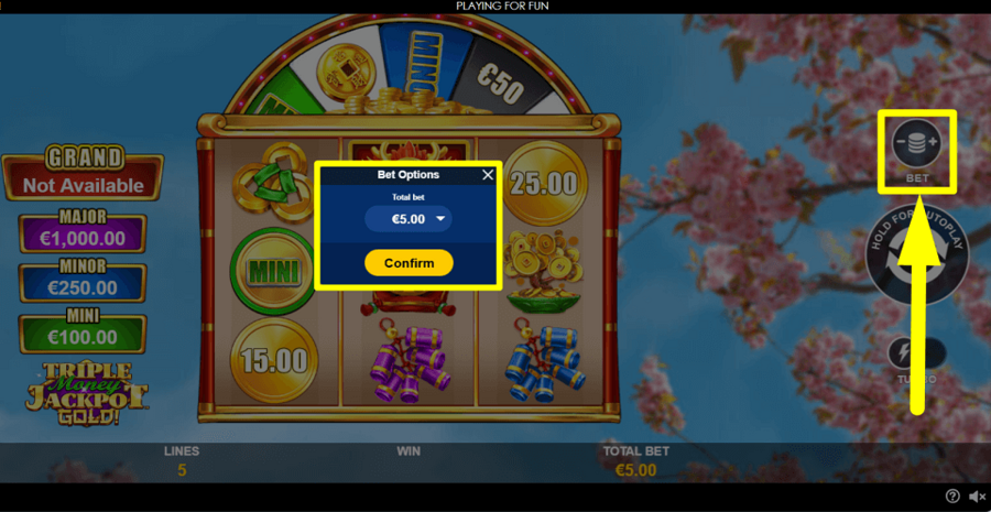 Triple Money Jackpot Gold Bet Value