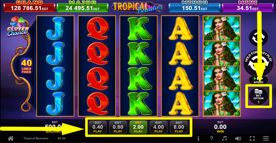 Tropical Beauties Bet Value