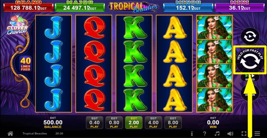 Tropical Beauties Spin Button