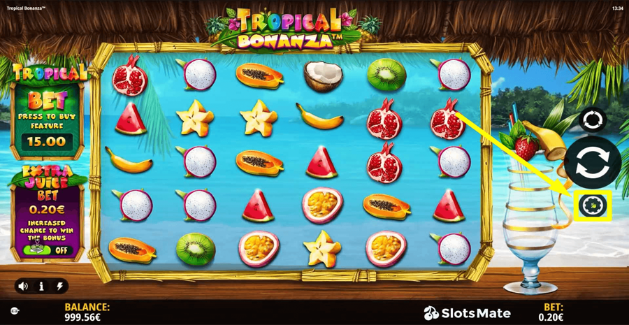 Tropical Bonanza Choose Bet