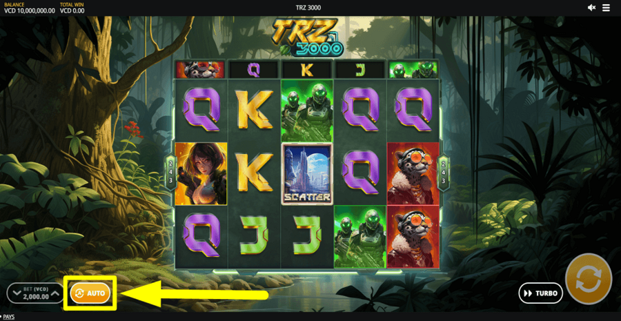 Trz 3000 Autoplay Feature