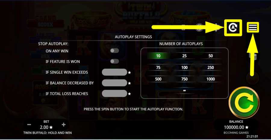 Twin Buffalo Hold And Win Autoplay Feature