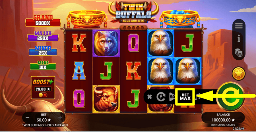Twin Buffalo Hold And Win Bet Max Button