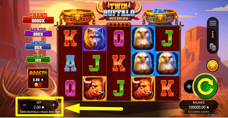 Twin Buffalo Hold And Win Bet Value