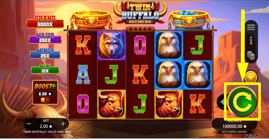 Twin Buffalo Hold And Win Spin Button