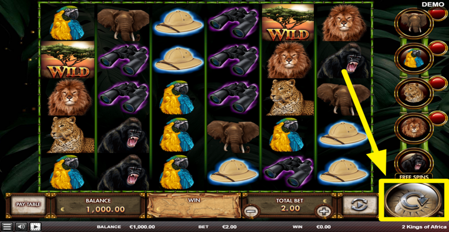 Two Kings Of Africa Spin Button