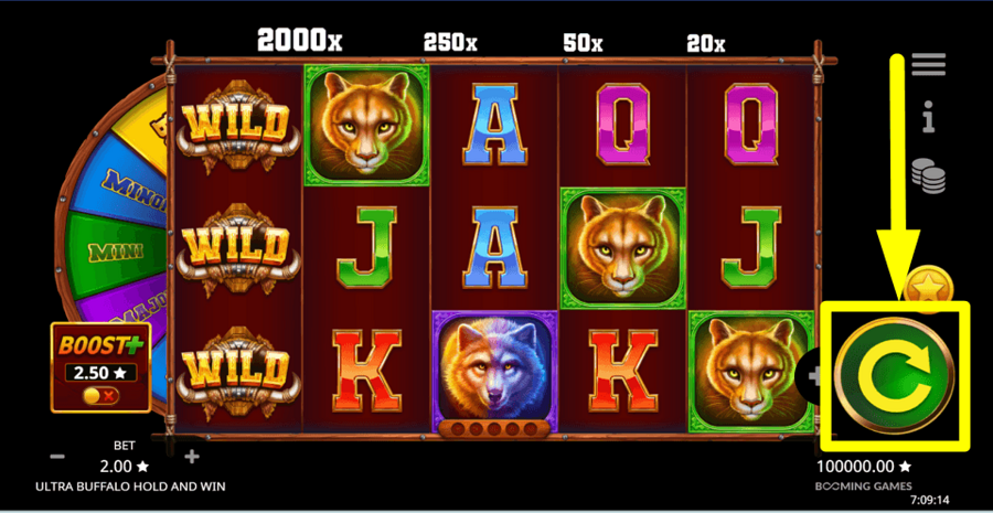 Ultra Buffalo Hold And Win Spin Button