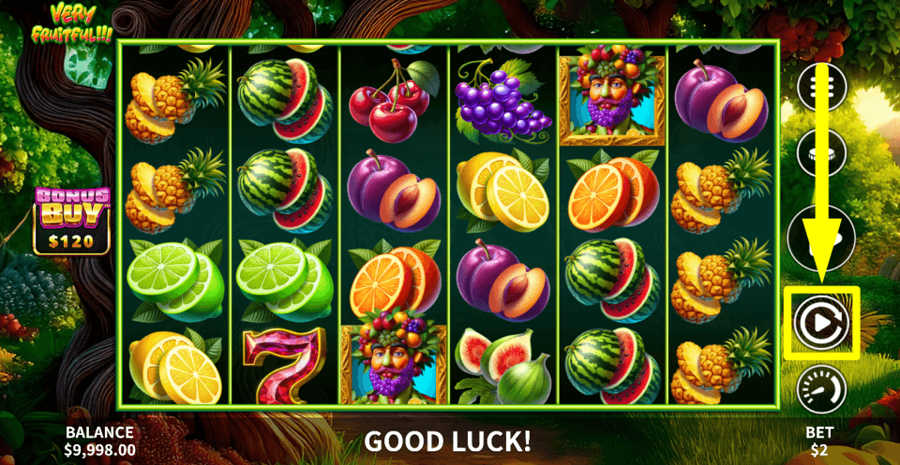 Very Fruitful Autoplay Feature