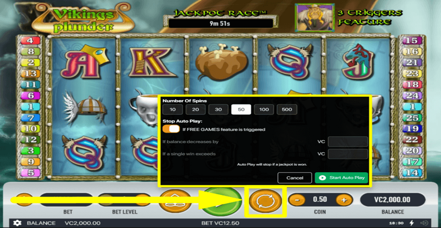 Vikings Plunder Autoplay Feature