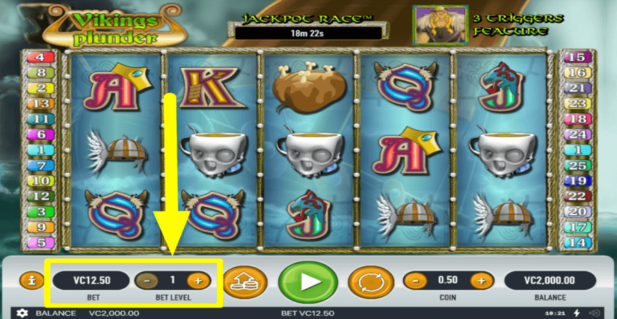 Vikings Plunder Bet Level