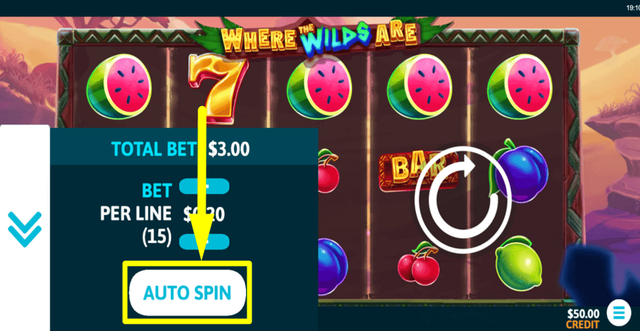 Where The Wilds Are Autoplay Feature