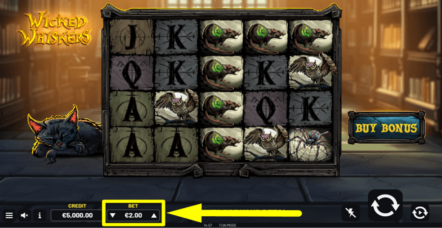 Wicked Whiskers Bet Value