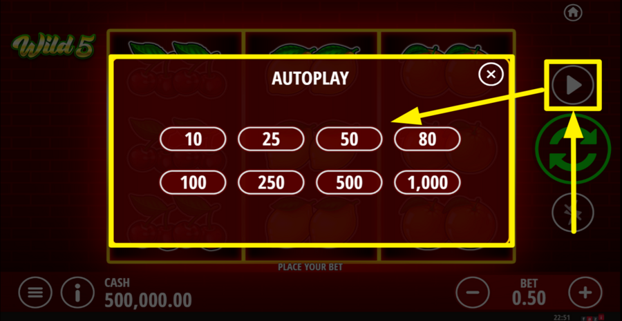 Wild 5 Autoplay