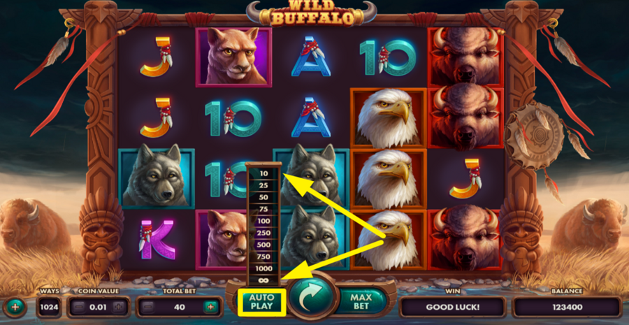 Wild Buffalo Autoplay Feature