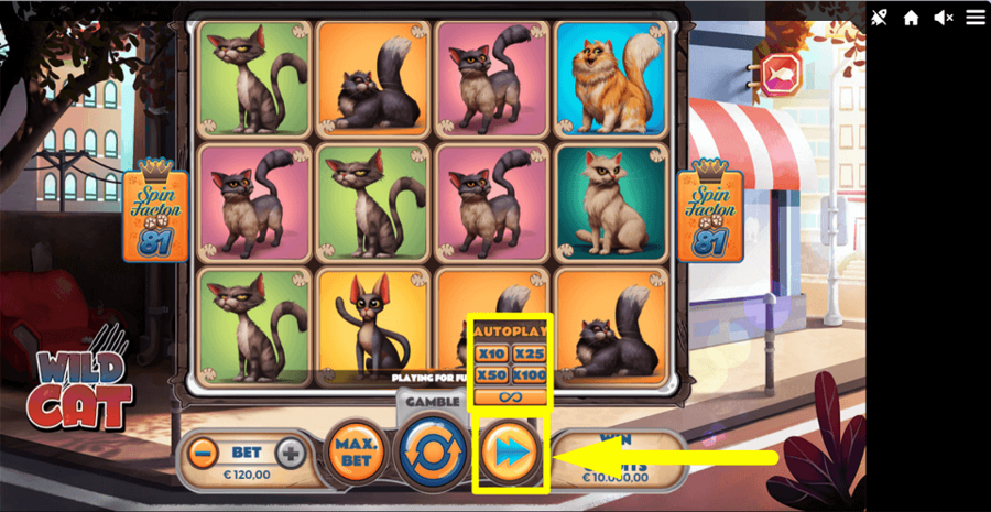 Wild Cat Autoplay Feature