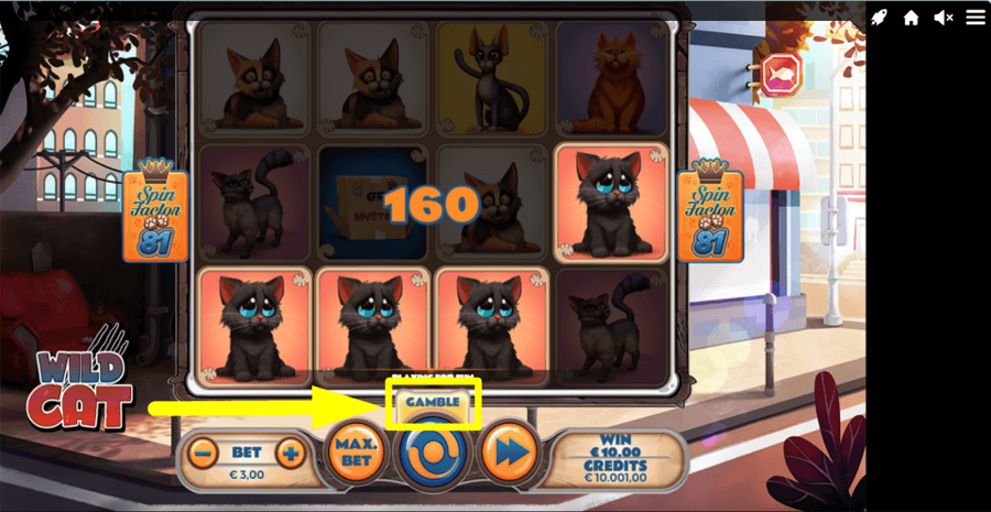 Wild Cat Gamble Feature
