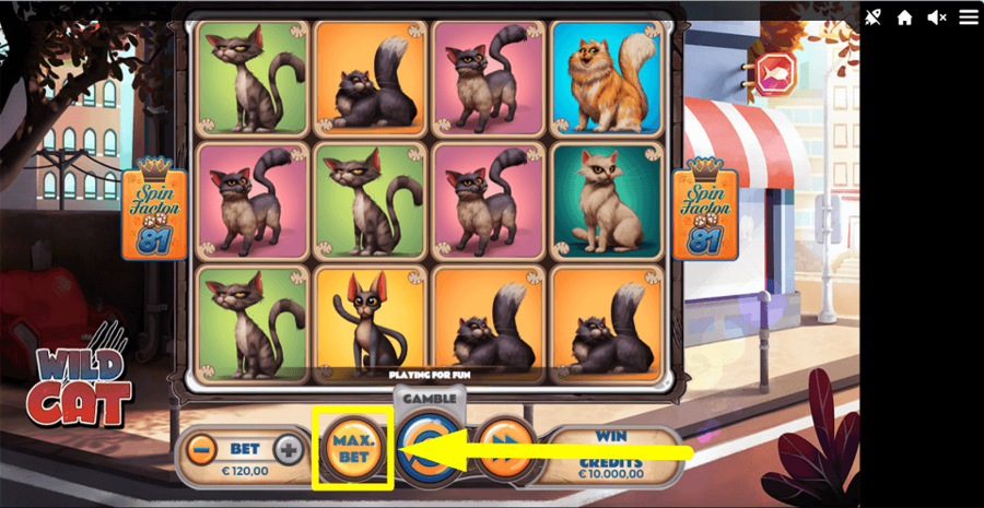 Wild Cat Max Bet Button
