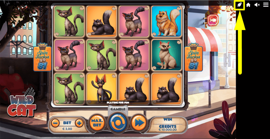 Wild Cat Quick Spin Feature