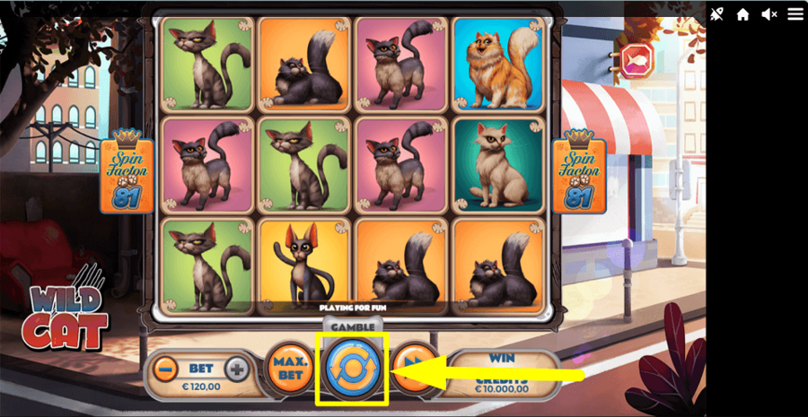 Wild Cat Spin Button