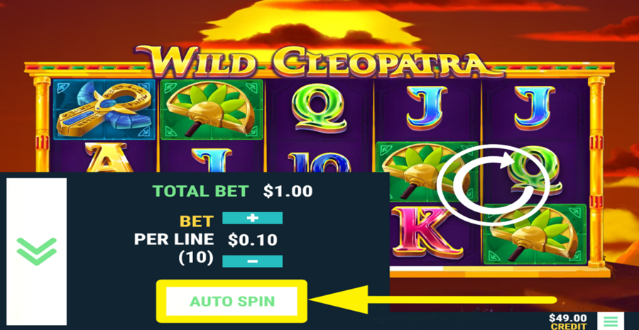 Wild Cleopatra Autospin