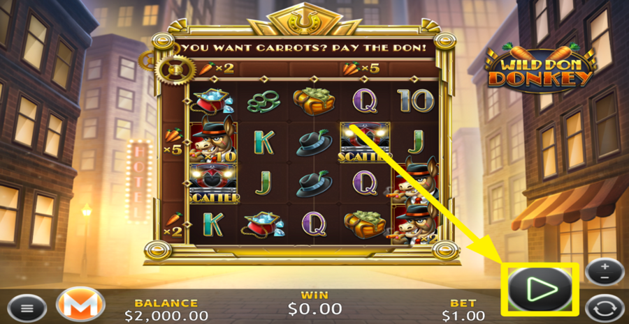 Wild Don Donkey Spin