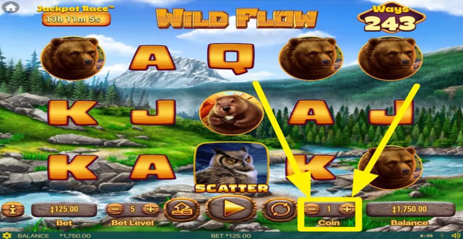 Wild Flow Adjust Coin Value