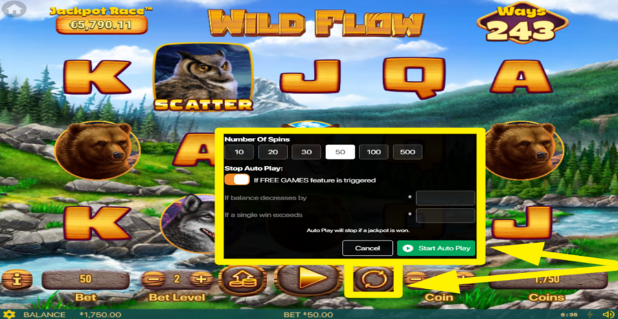 Wild Flow Autoplay