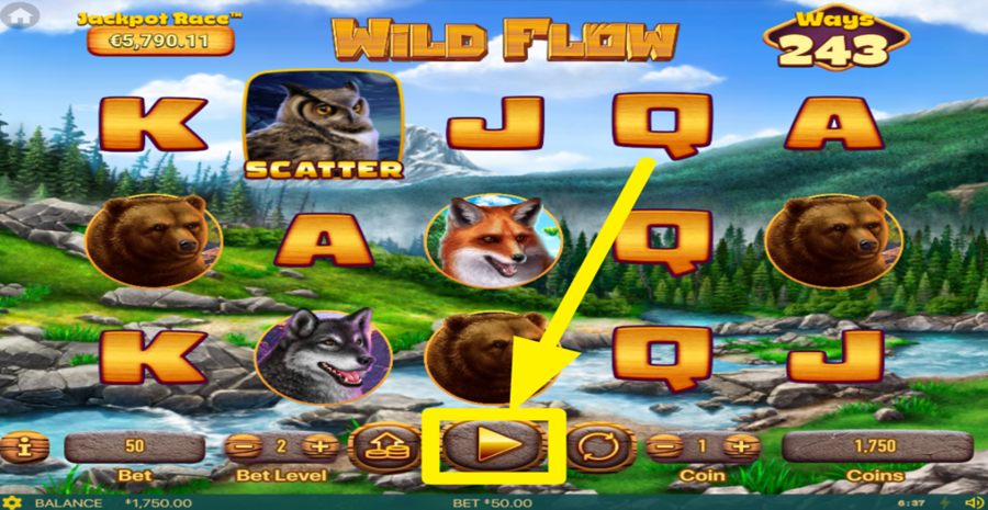 Wild Flow Spin Button