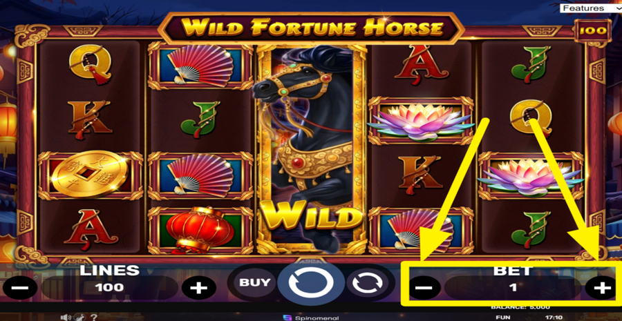 Wild Fortune Horse Adjust Total Bet