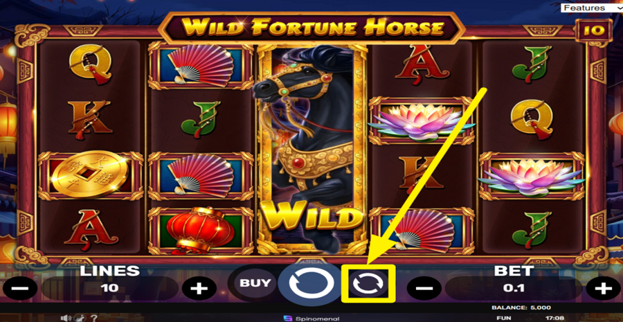 Wild Fortune Horse Autiplay