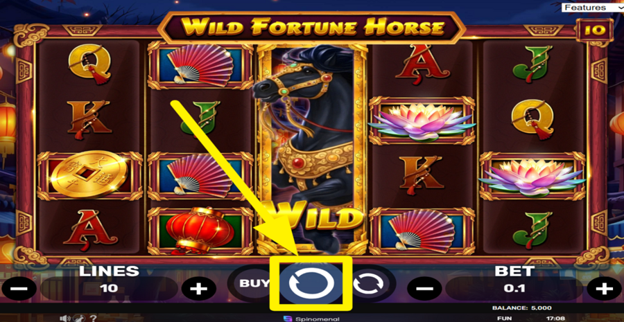 Wild Fortune Horse Spin