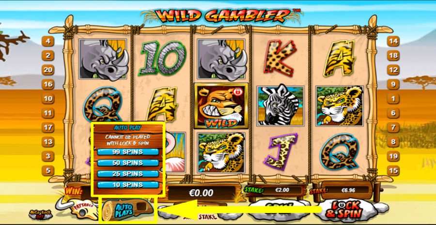 Wild Gambler Autoplay Feature