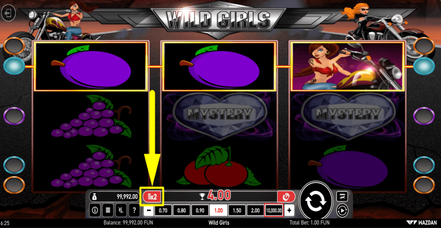 Wild Girls Gamble Feature
