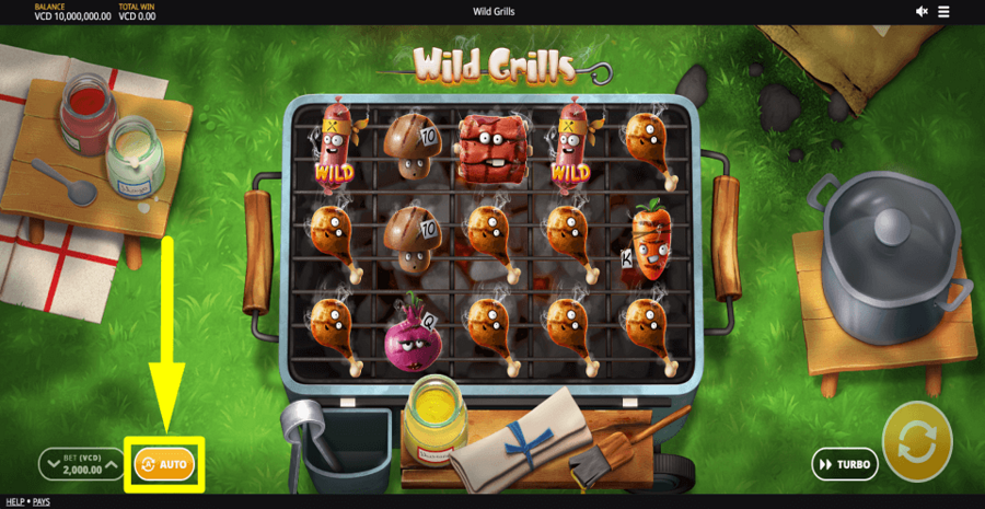 Wild Grills Autoplay Feature