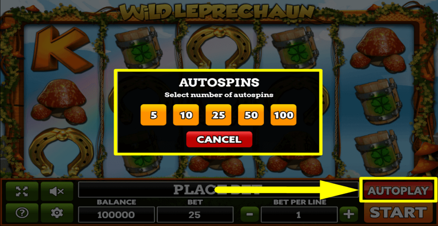 Wild Leprechaun Autoplay Feature