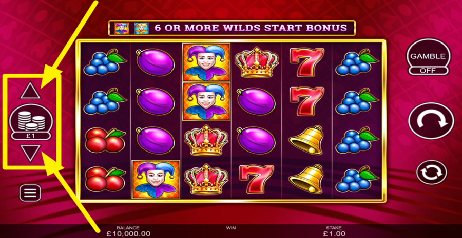 Wild Party Jokers Adjust Bet