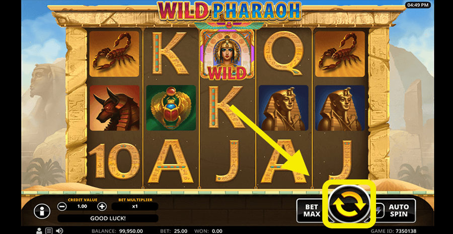 Wild Pharaoh 3