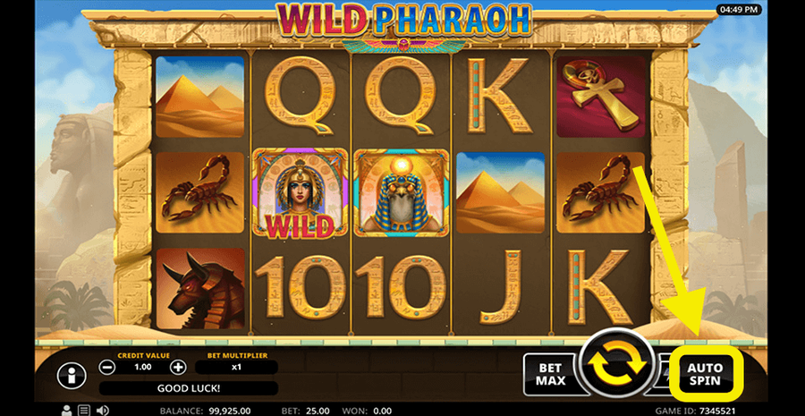 Wild Pharaoh 4