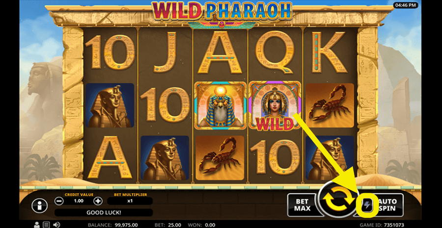 Wild Pharaoh 5