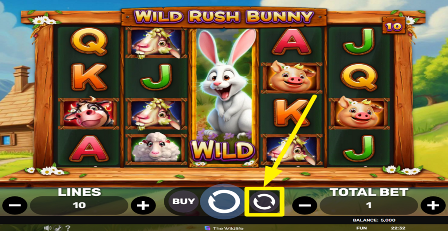 Wild Rush Bunny Autoplay