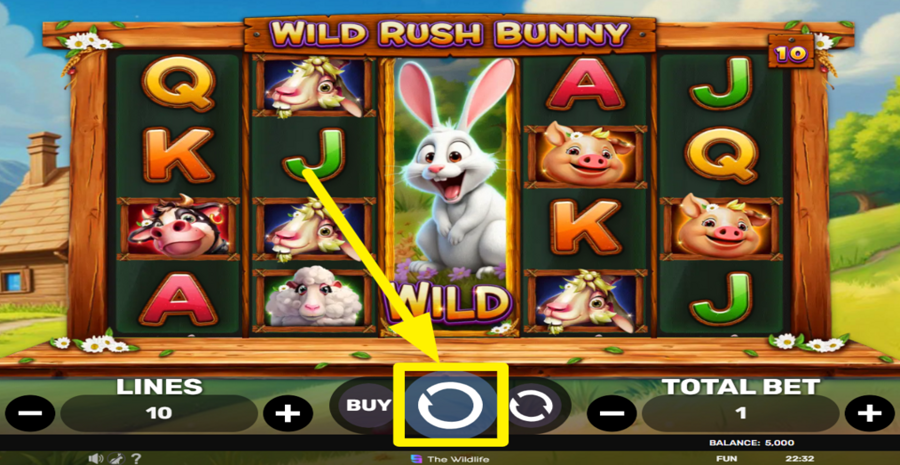 Wild Rush Bunny Spin