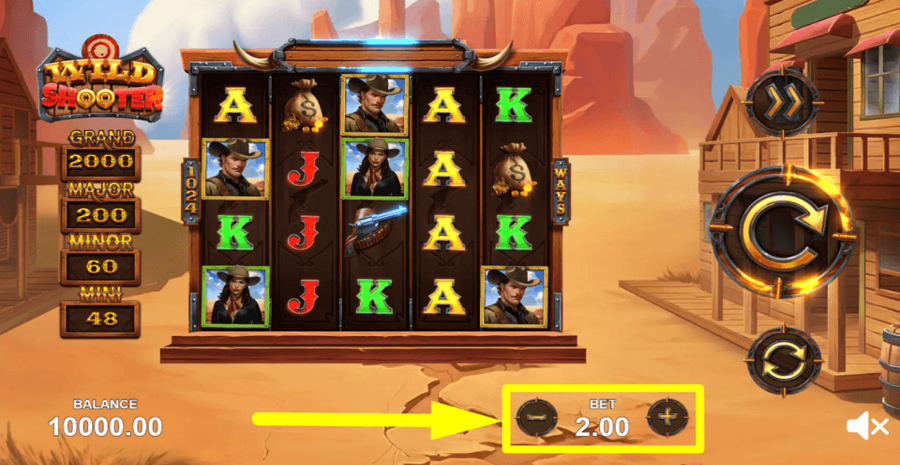 Wild Shooter Bet Value