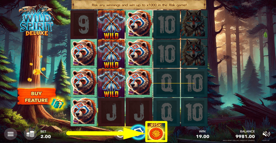 Wild Spirit Deluxe Risk Feature
