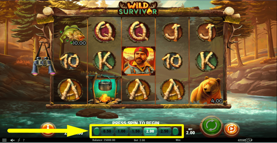 Wild Survivor Bet Value